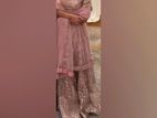 Elegant Light Salmon Pink Lehenga