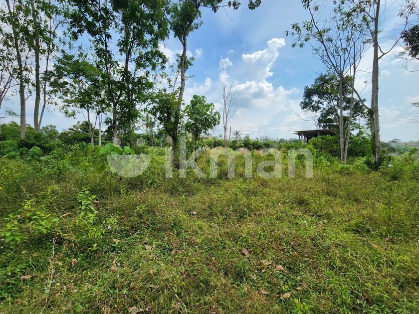Elevated Bare LandWalking Distance to Hanwella, Urapola Main Rd ikman