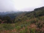 Ella : 10 acres Land for Sale at Ballaketuwa