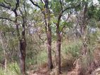 Ella : 160 Perch Land for Sale at Ballaketuwa Road