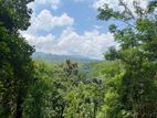 Ella : 160 perches Land for Sale at Rail Gate view point Road