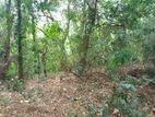Ella : 20 Acres Land for Sale at Karadagolla