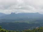 Ella Land for Sale