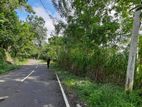Ella Wallawaya 262 Perches Bare Land For Sale