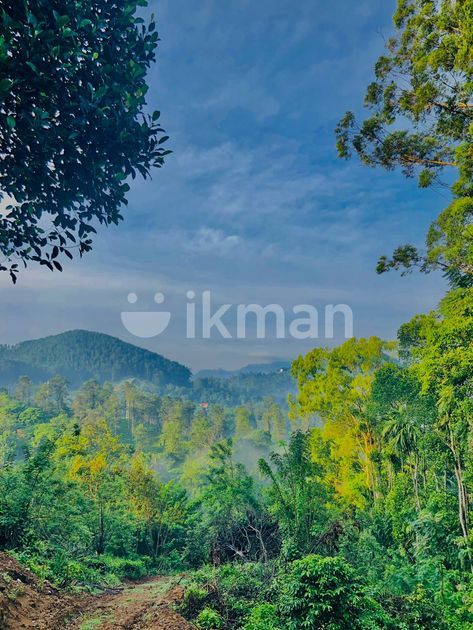 Ellat 4 K.M Durin Land for Sale | ikman