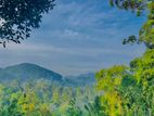 Ellat 4 K.M Durin Land for Sale