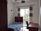 Elysian Furnished - Apartment for Rent Mount Lavinia