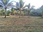 Embilipitiya 2 Acer Land for Sale at Hingura