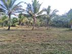 Embilipitiya : 2 Acer Land for Sale at Hingura