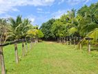 EMBILIPITIYA : 5.5 ACRE VALUABLE LAND FOR SALE in Thunkama