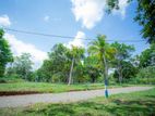 Embilipitiya, Darshanagama Land for Sale