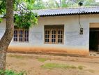 Embilipitiya - House, Land, and Paddy Field for Sale (SSPH-204)