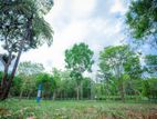 Embilipitiya Land for Sale