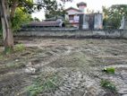 Embilipitiya Land