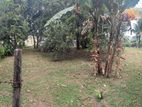 Embuldeniya, Valuable 16 Perches Land with a wide frontage for Sale