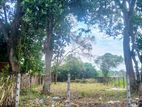 Embuldeniya,nugegoda Peacefull Resdential 10p Land plot