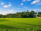Embulgama ඉඩමක්