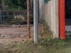 Land for Sale Akkarepattu