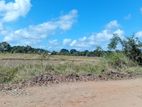 Land for Sale Kuchchaveli