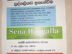 English for school children individual