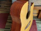 Enya ED-220 Solid Top Guitar