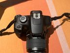 Canon EOS 4000D Digital Camera