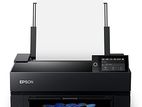 Epson Sc P6530 E 24" Photo Printer 6 Color
