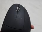 Ergonomic Mouse