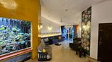 Modern Semi Luxury House for Sale in Kadawatha