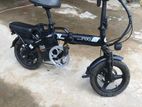 ESG Fushige E-Bike 2022