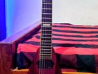 Esp Grassroots Electric Guitar