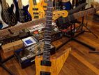 ESP LTD FX-400 Spalted Maple Sample/Prototype Electric Guitar