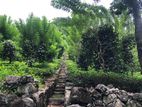Estate for Sale in Niwithigala