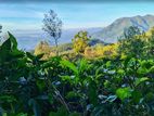 Estate for Sale in Badulla