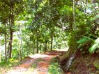 Estate for Sale in Bulathkohupitiya