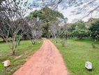 Estate For Sale In Dambulla