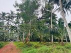 Estate for Sale in Gampaha
