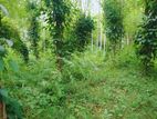 Estate for Sale in Kegalle