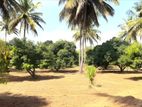 Estate for Sale in Kurunegala