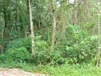 Estate For Sale in Matale