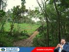 Estate For Sale in Matale