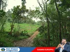 Estate For Sale in Matale
