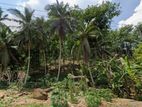 Estate for Sale in Mathugama