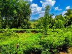 Estate for Sale in Mathugama