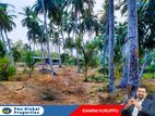 Estate With Poultry Farm For Sale in Bingiriya
