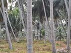 Estate with Poultry Farm for Sale in Bingiriya
