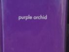 Eternity Purple Orchid by Calvin Klein