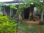 Ethiliwewa 10 Perch Land for Sale