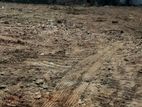 Etul Kotte : 24 perches Highly residential Land for sale