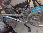 Europe bicycle